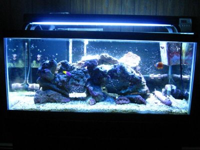 201102 - Presidents Day 084.jpg