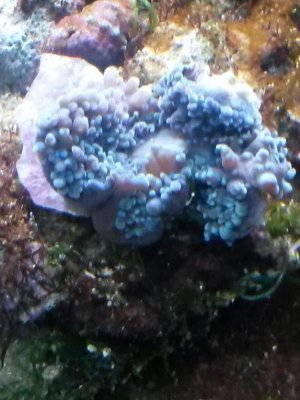 unnamed.jpg