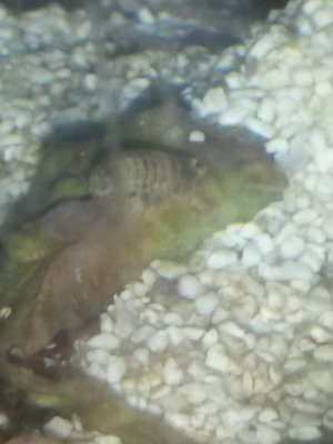 20141229_193041.jpg