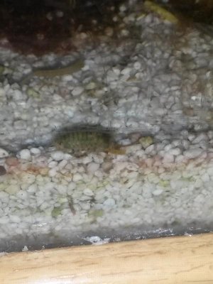 20141229_193135.jpg