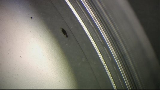 worm3.jpg