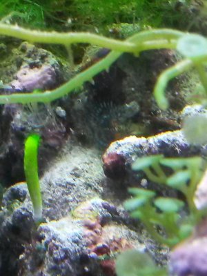 20141030_064141.jpg