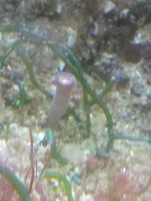 20141231_135545.jpg