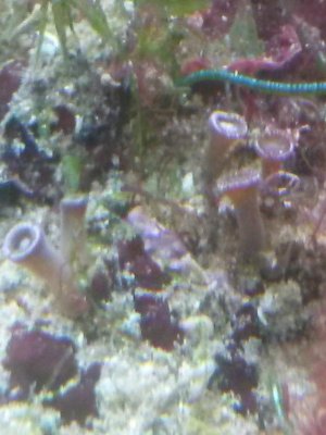 20141231_135559.jpg