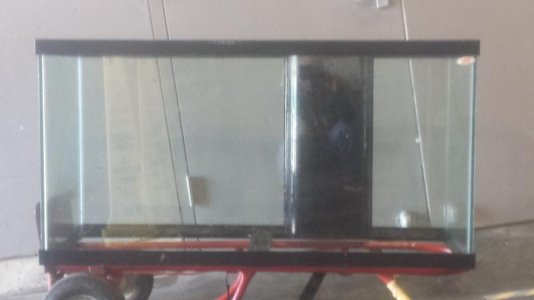 20150102_125849.jpg