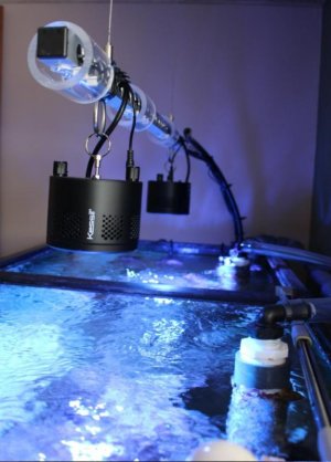 Led project back iso view.jpg Led project back iso view.jpg
