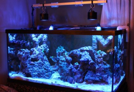 Led project evening.jpg Led project evening.jpg