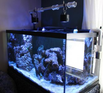 Led project.jpg Led project.jpg