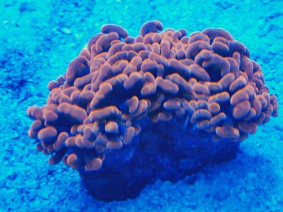 0104150911~2.jpg