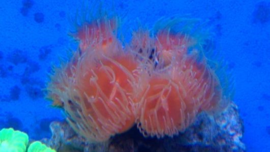 IMAG0477.jpg