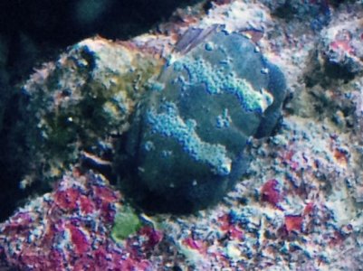 FullSizeRender (43).jpg