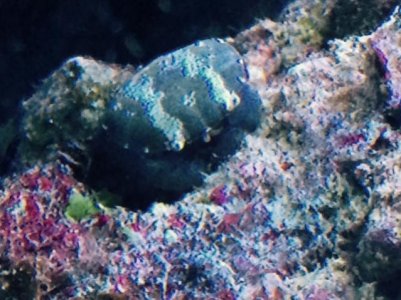 FullSizeRender (44).jpg