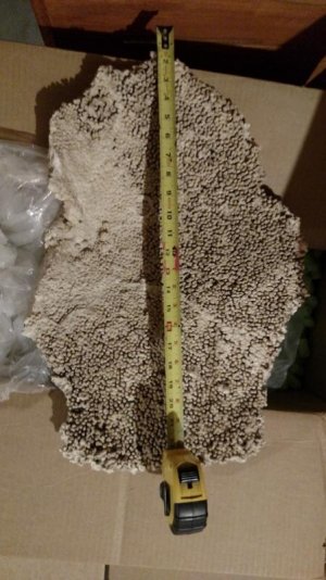 Tonga shelf rock.jpg