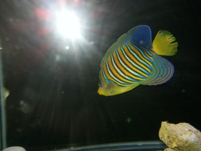 2015-01-09 16.38.18.jpg