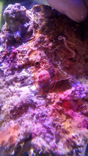 IMG_20150111_100858189_HDR[1].jpg