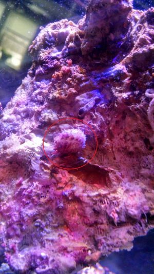 IMG_20150111_100927123_HDR[1].jpg