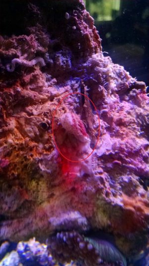 IMG_20150111_100941424[1].jpg