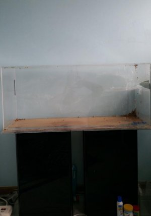 2015-01-11 14.28.54.jpg