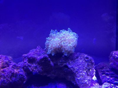 IMG_0094.jpg