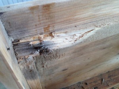 R2R.13.jpg R2R.13.jpg