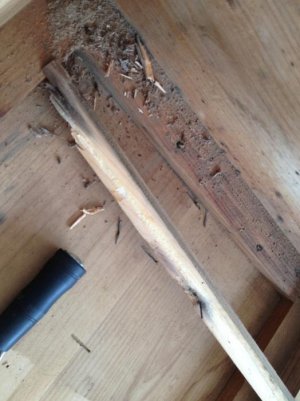 R2R.14.jpg R2R.14.jpg