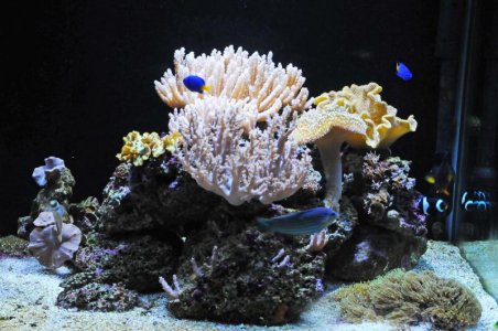 DSC_4617_0489_edited-1.jpg