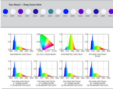 10-12k bml custom.JPG