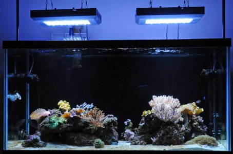 DSC_4613_0485_edited-1.jpg