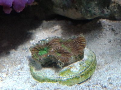 20150113_143935.jpg