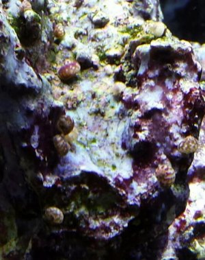 2015-01-14 06.23.51_resized.jpg