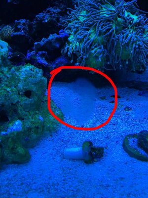 ImageUploadedByTapatalk1421282915.335619.jpg ImageUploadedByTapatalk1421282915.335619.jpg