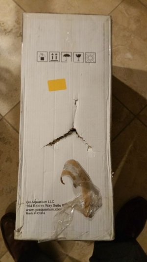 Dented Box.jpg
