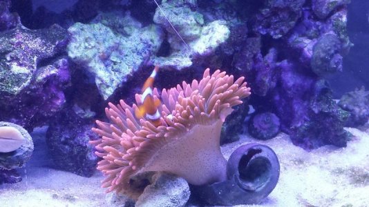 20150108_155936 (1).jpg