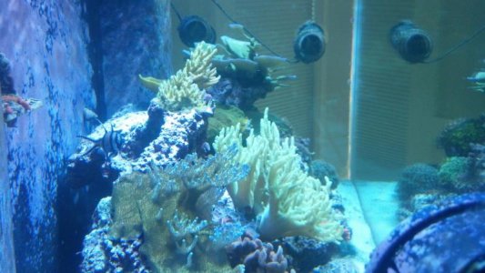 IMG_20130503_084710_881.jpg