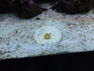 DSCF5430.jpg