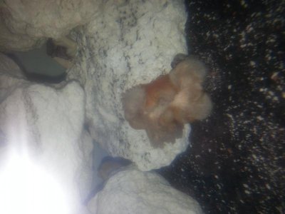 2015-01-18 07.28.57.jpg