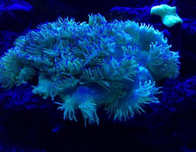 IMG_5887.jpg