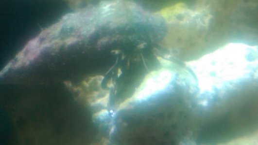 IMAG0884.jpg