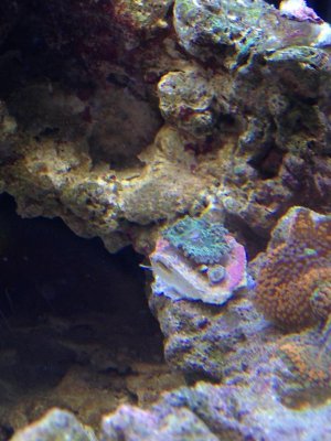 IMG_6653.jpg