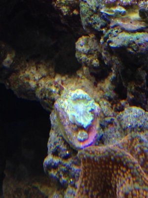 IMG_9952.jpg