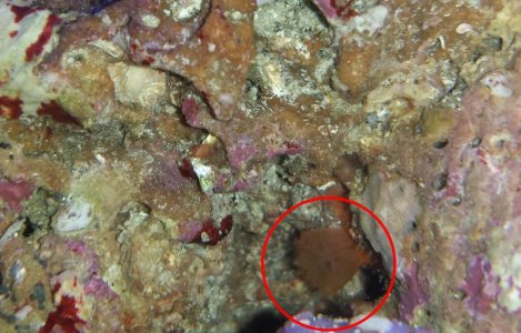 20150119_153859 copy.jpg