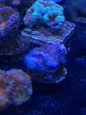 IMG_3491.jpg