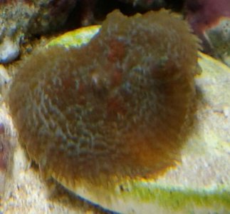 20150119_123035-1.jpg