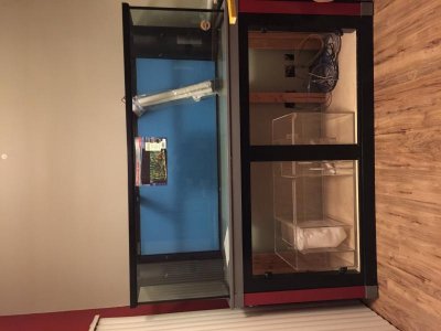 IMG_0485.jpg IMG_0485.jpg