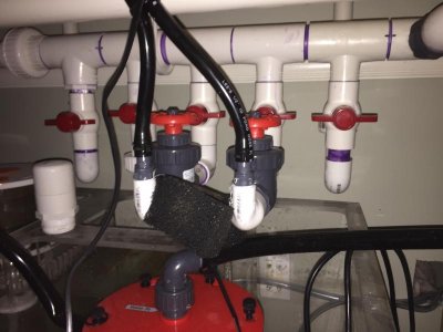 IMG_0498.jpg IMG_0498.jpg