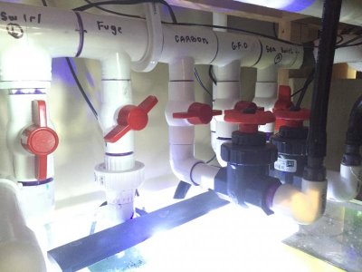 IMG_1124.jpg IMG_1124.jpg