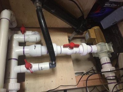 IMG_1122.jpg IMG_1122.jpg