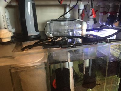 IMG_1123.jpg IMG_1123.jpg