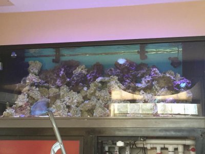 IMG_1098.jpg IMG_1098.jpg