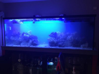 IMG_1108.jpg IMG_1108.jpg